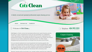 carpet cleaning web designer in Suwanee, Georgia, 30024