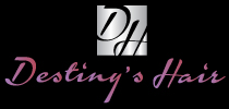 Human Hair Logo Design for Destiny's Hair