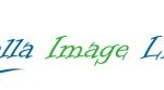 Bella Image Beauty Industry Logo