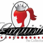 Logo for Hair Extensions - The Exquisite Collection (UK)