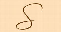 "S" hair lock graphic used for Sanyar Brazilian Hair Extensions logo