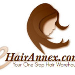 Logo for online hair extensions store (2010)